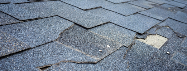 Missing shingle tarping and replacement Brecksville
